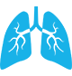 Supplements for Lungs and Respiratory
